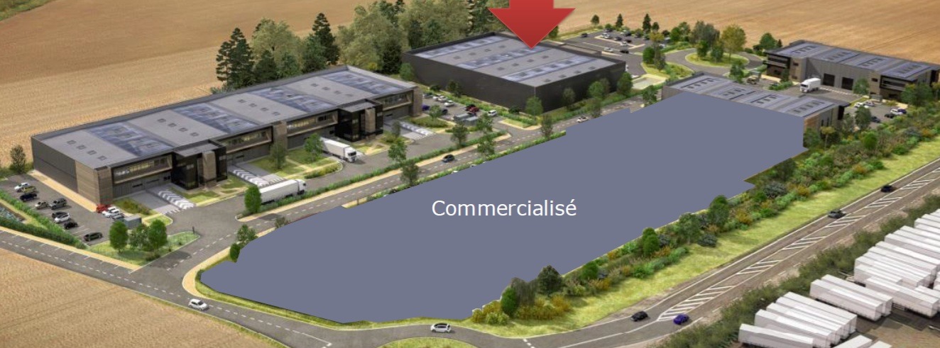 ACTIVITES/STOCKAGE/BUREAUX 3687 m²